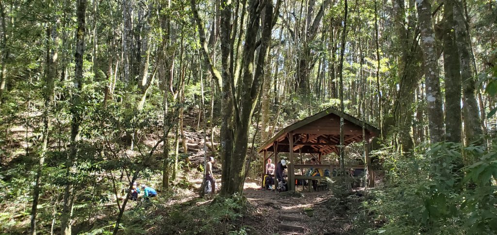 谷關七雄_新山馬崙山(八壯士來回)_2353157