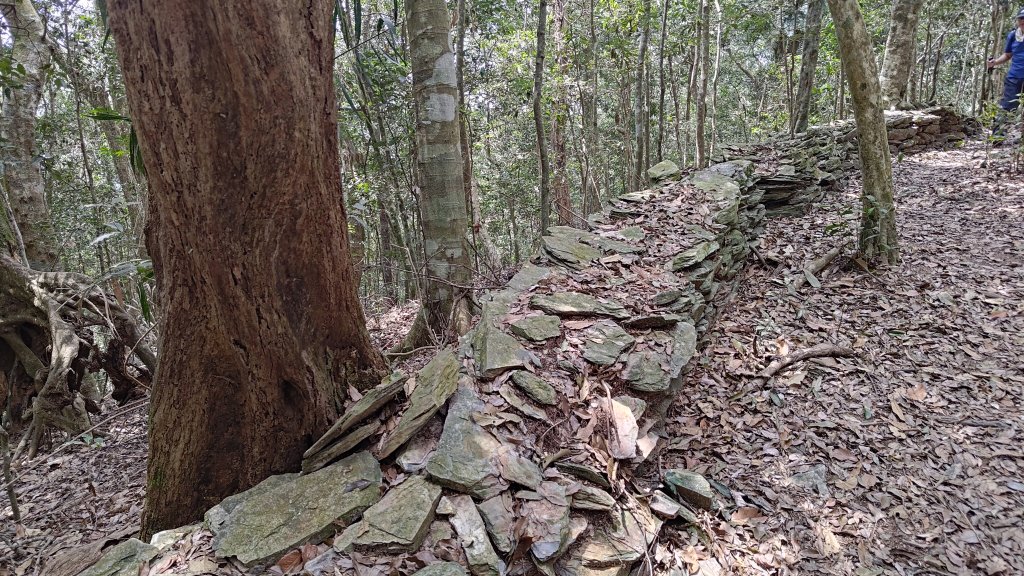網子山、鳴海山封面圖