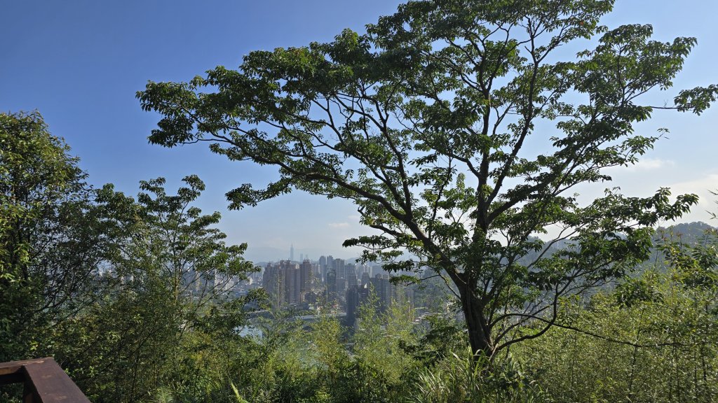 一次解鎖二任務，山頂鳥百山百鳥及新北市微笑山線和美山螢火蟲段_2859422