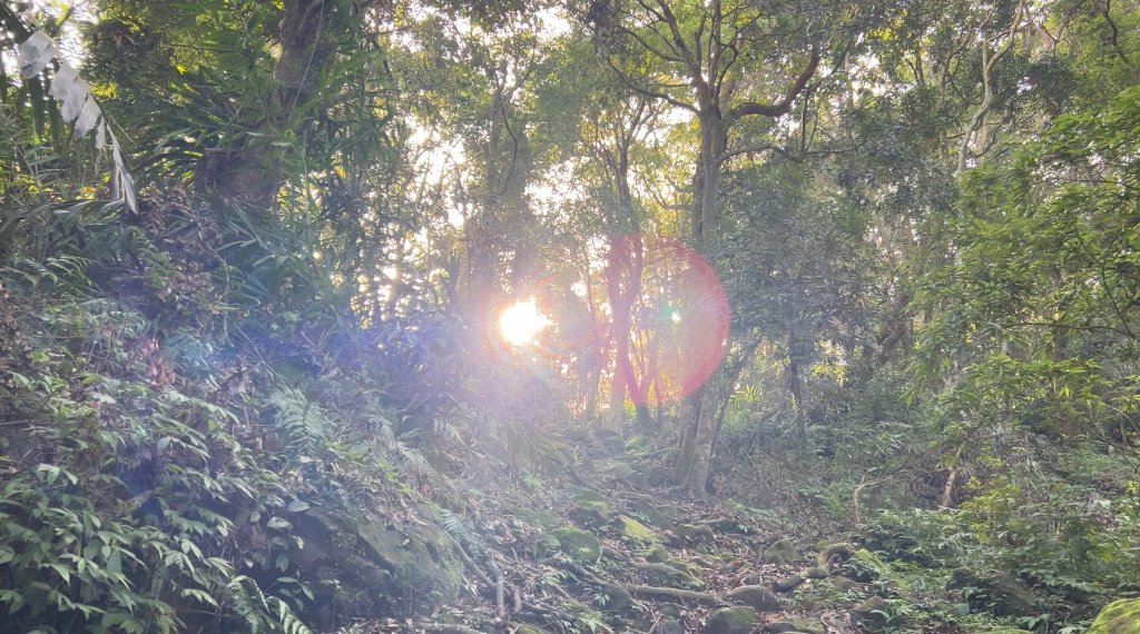 馬那邦山_2597590