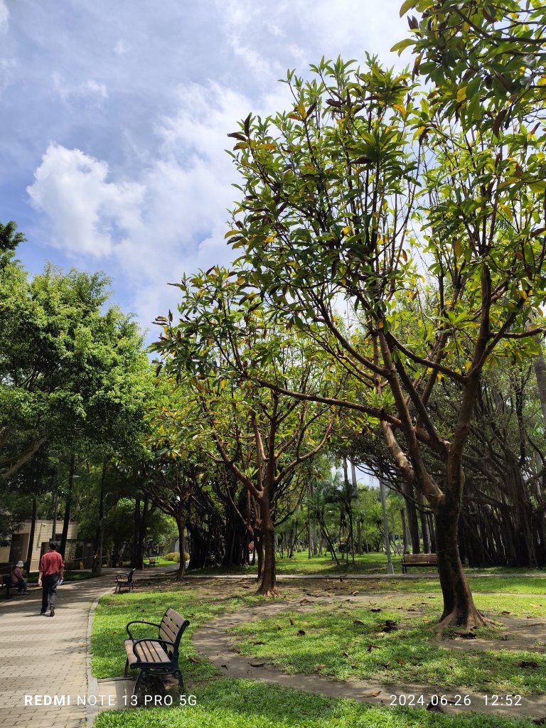 大安森林公園【走路趣尋寶】【臺北健走趣】_2536192