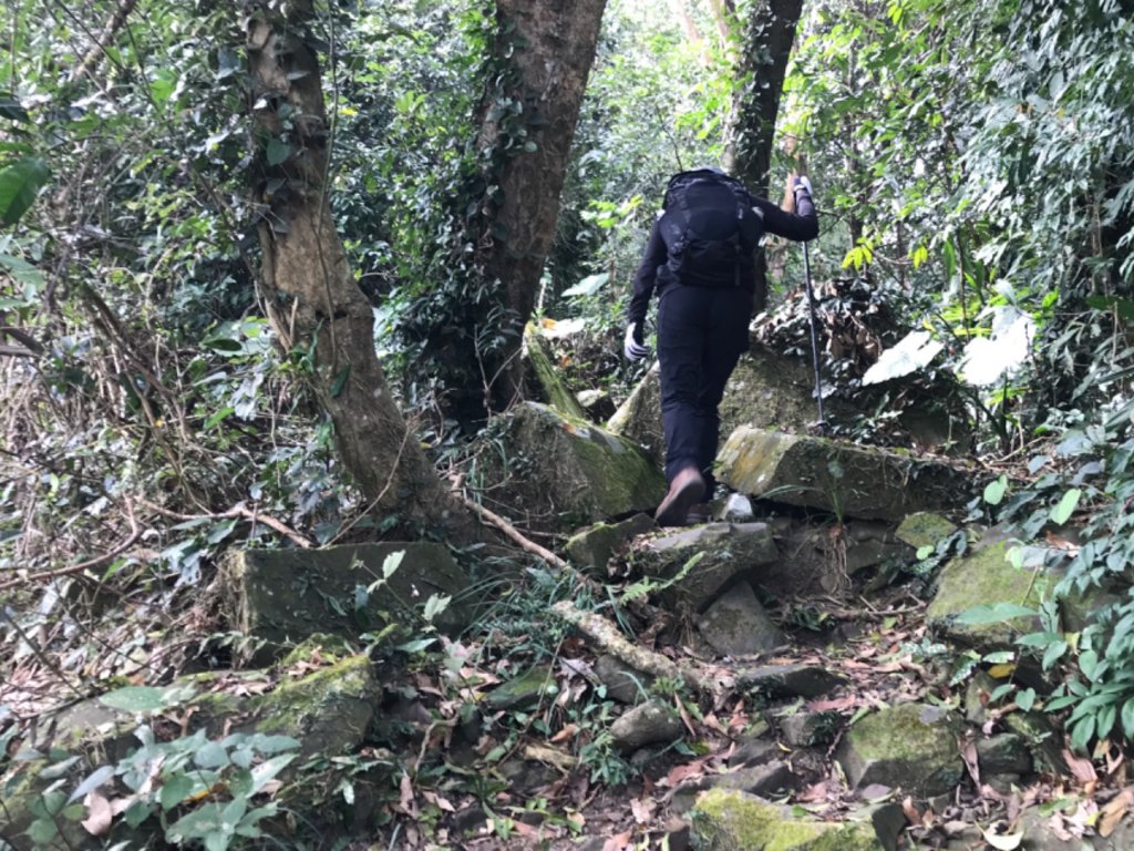 烏山步道走刣牛湖山_468636
