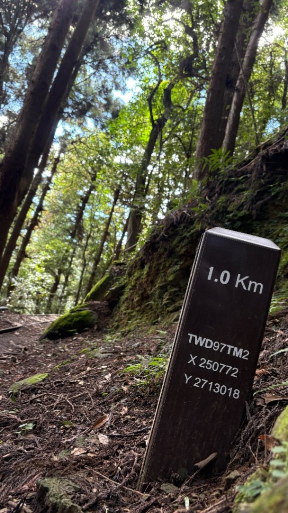 林鐵遺跡_2878115
