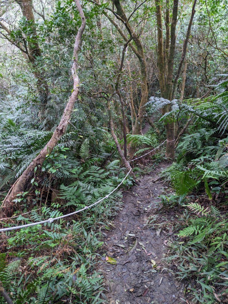 鵝角格東峰 鵝角格山 六分山 四面頭山 貓空尖 十六分山 三玄宮山_2006108