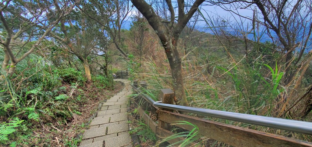 2024-11-23臺北大縱走第六段：中華科技大學至捷運麟光站_2653475