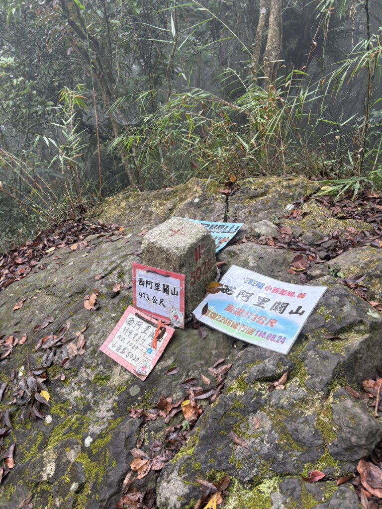 20251108西阿里關山步道(小林村東側登山口啟登)_2933530