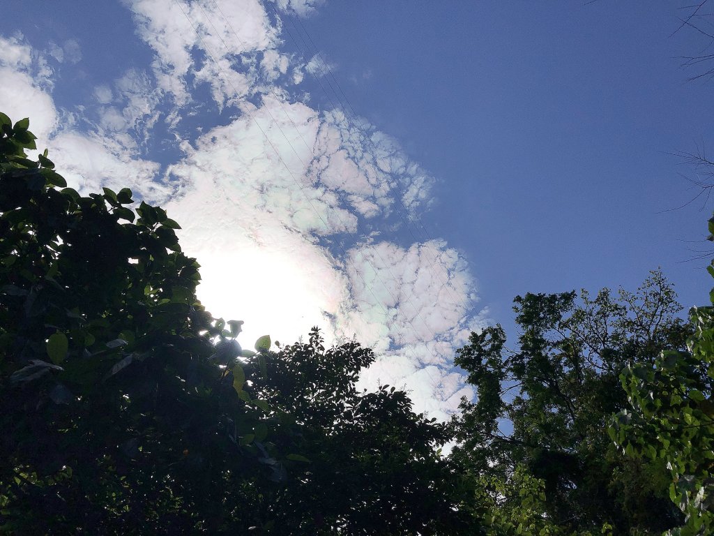 ~  佐倉步道  ~_2050419