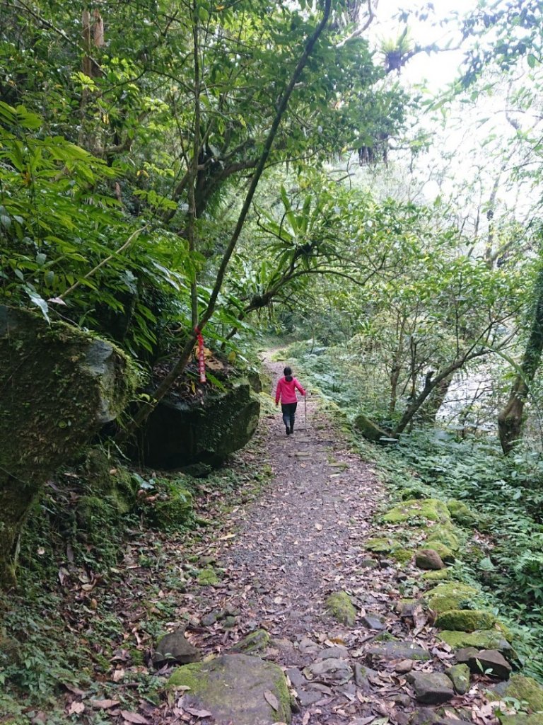 璀璨百年淡蘭古道～灣潭古道_1313529