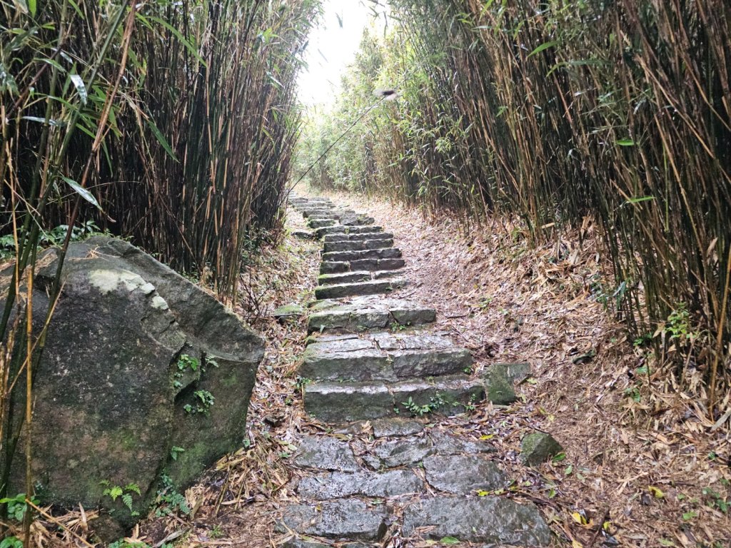 2025臺北大縱走第二段：二子坪至小油坑_2973503