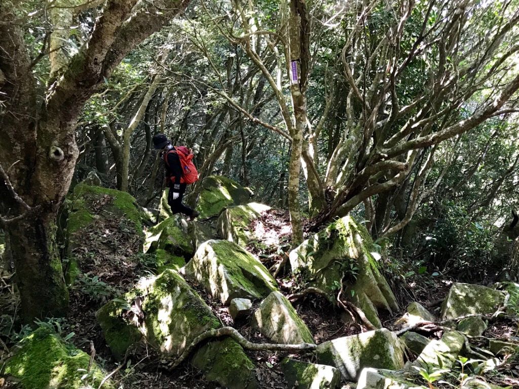 大混山連走李崠山_397896
