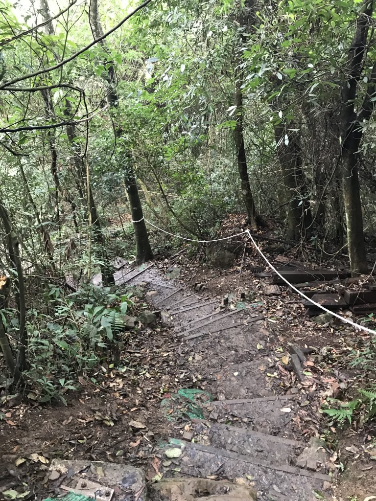 上坪山經五指山由大隘山下觀音寺_1291250