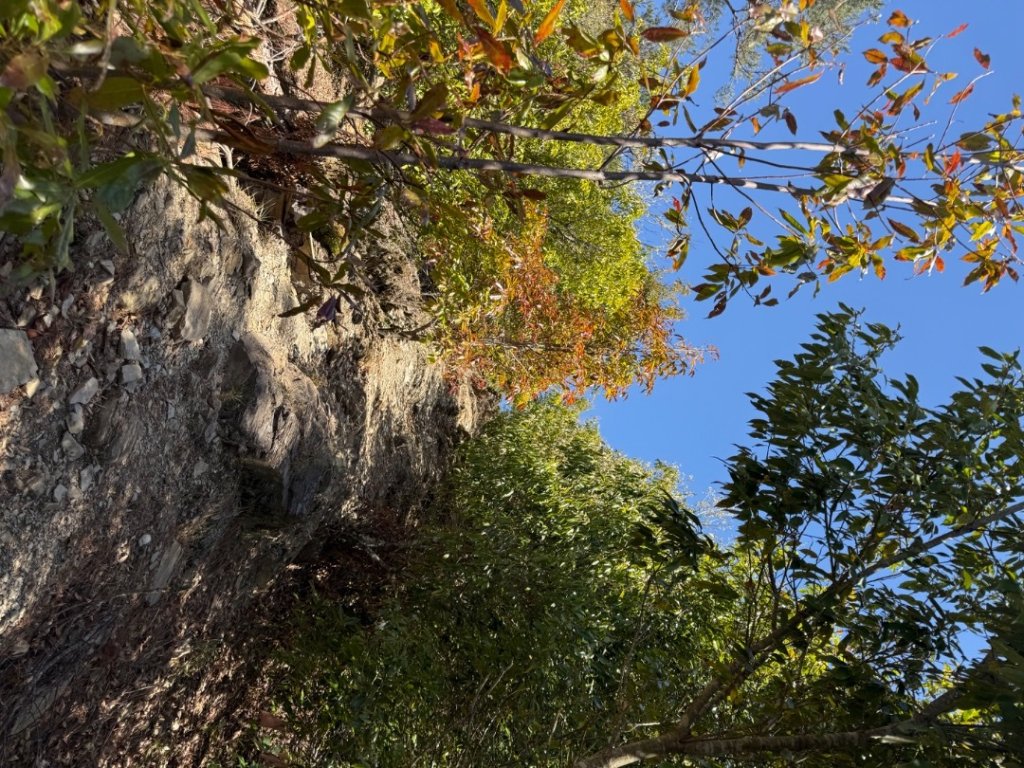 馬武霸O型_2745310