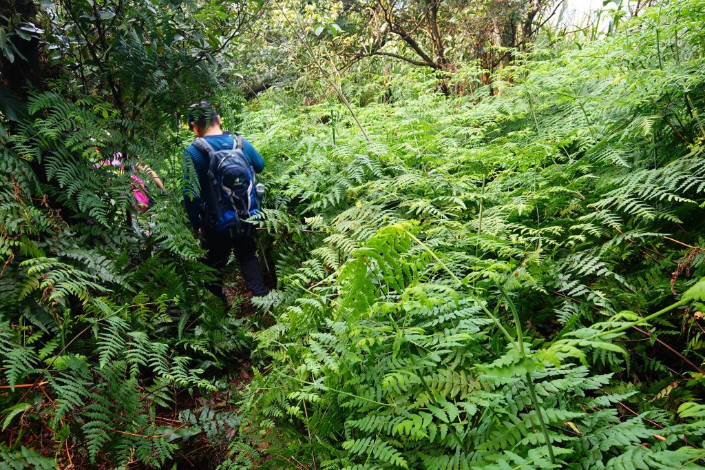 親子健行-獅蛇縱走_871803