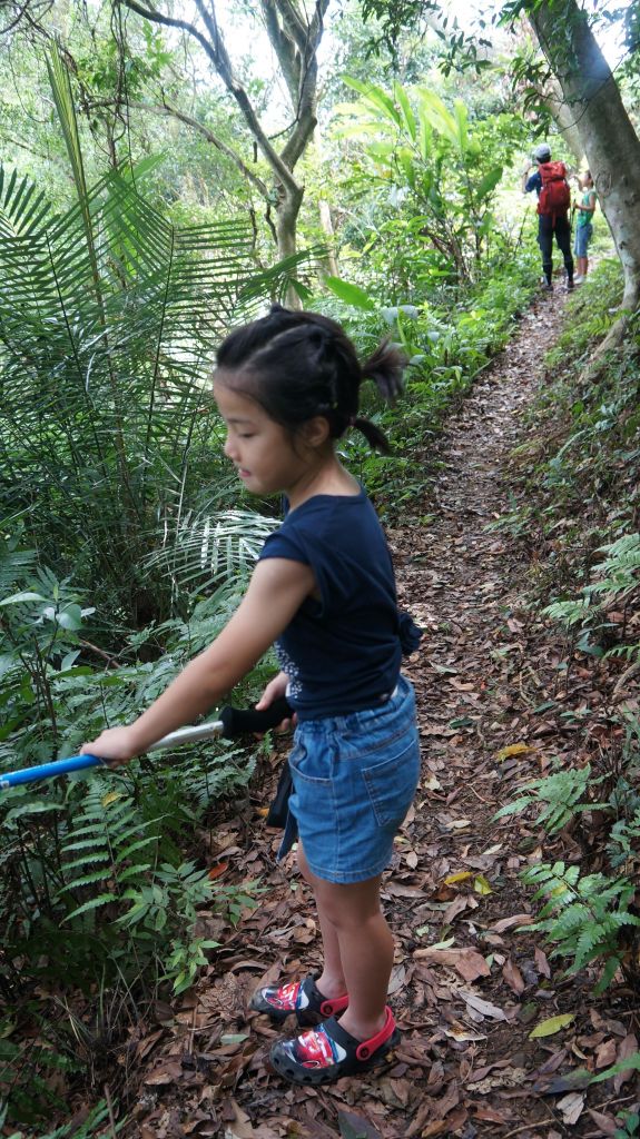 新溪洲山之樂_400300