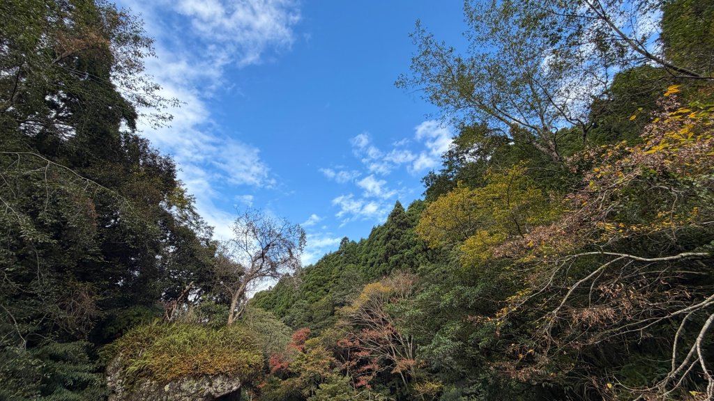 加里山 2025 12/28封面圖