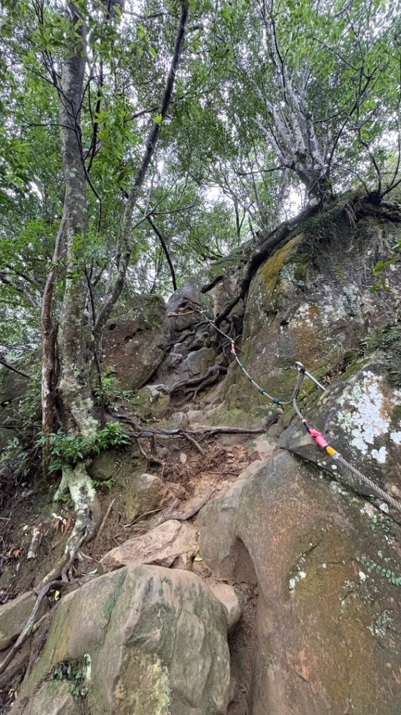 迎新（2026元旦_2975565