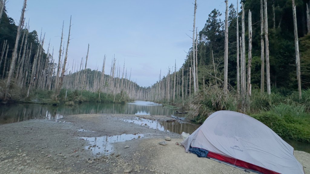 水漾森林+瞑月神木_2768819