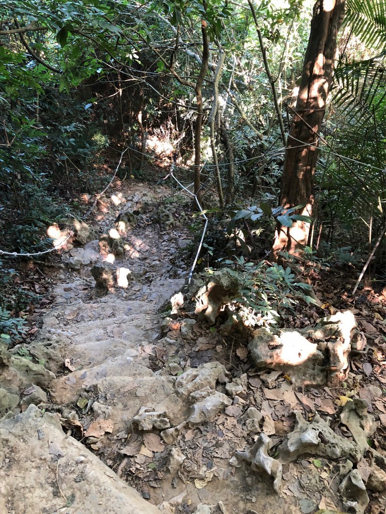 2021.11.14柴山_1517150