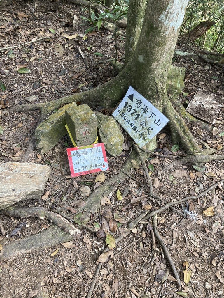 20231118-19六龜警備道_藤枝段_2353051