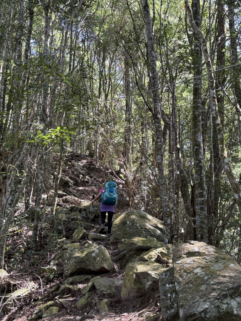 波津加山 20250914_2893374