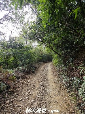 【屏東來義】小百岳棚集山x棚集下山O 繞_3013077
