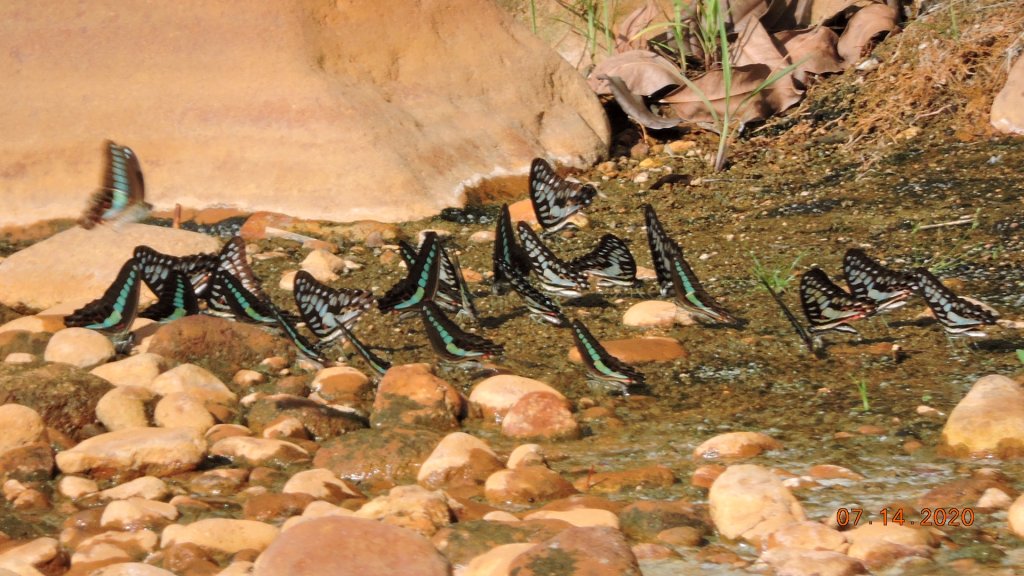 就是喜歡這個藍天白雲的FU_1032947