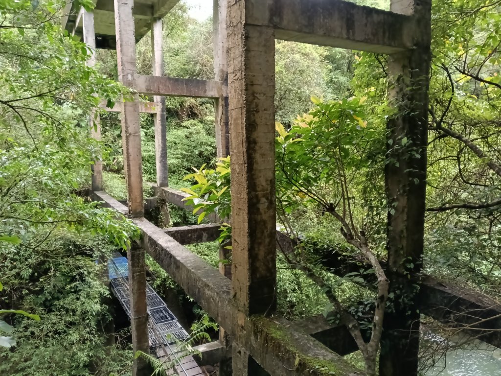 平溪區善覺寺步道+畝畝山北稜線+畝畝山+石硿子瀑布+灰窯瀑布O型_2940106
