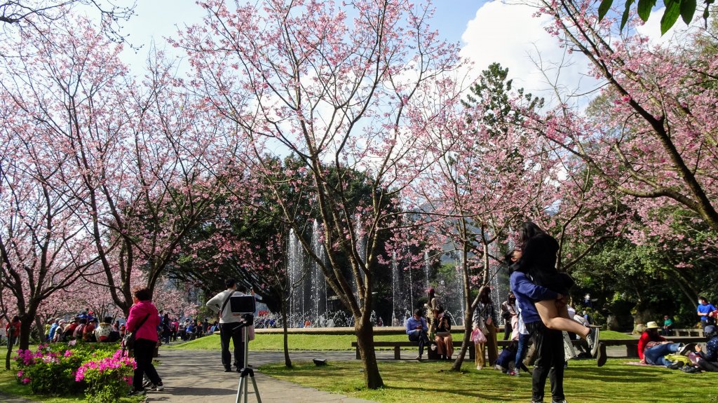 十八份水圳_1277611