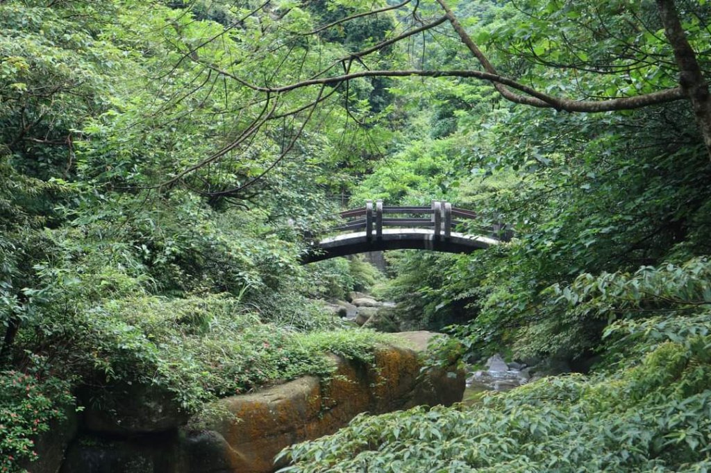 〔暖暖〕 暖東峽谷  ，雙溪荷所在 。昔日淡蘭古道中路一段  壯觀滑瀑，新北最大荷花園  唯美黃荷_2187530