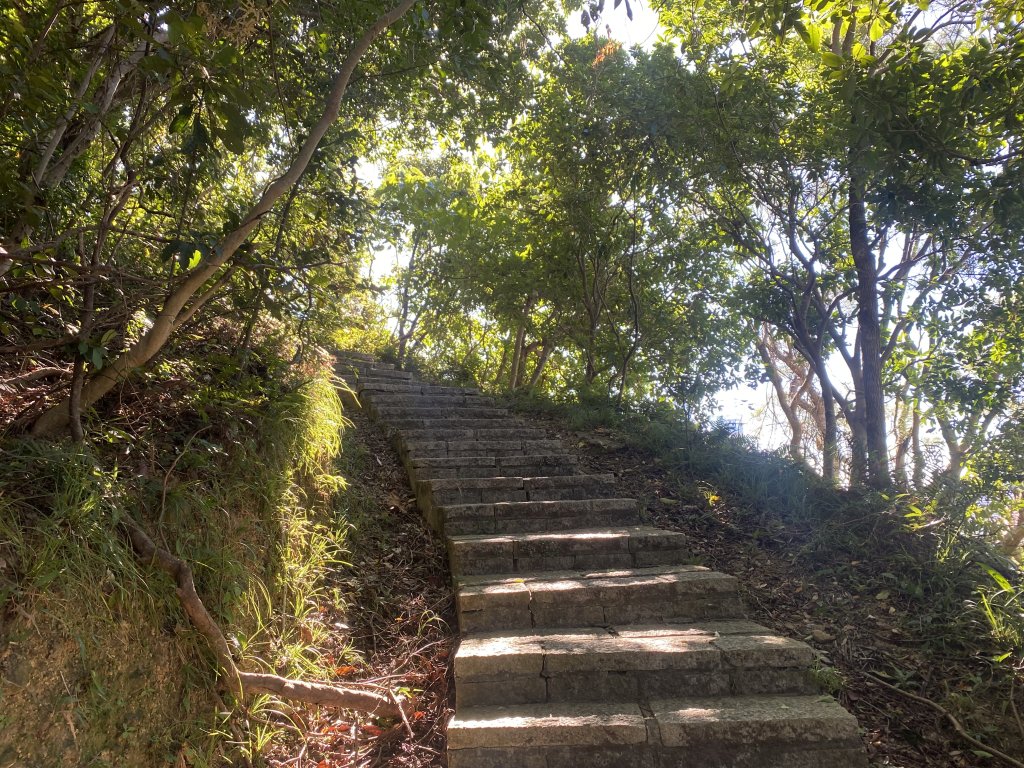 【四獸山 Short】虎豹象先行！獅山封閉中，等新步道開箱再相見_2888790