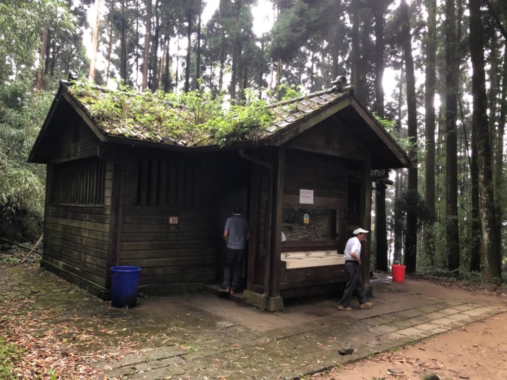 頂湖步道再訪芙蓉山、大凍山、霹靂山_637311