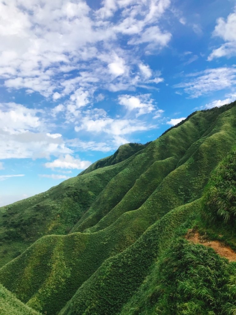 聖母山莊抹茶山封面圖