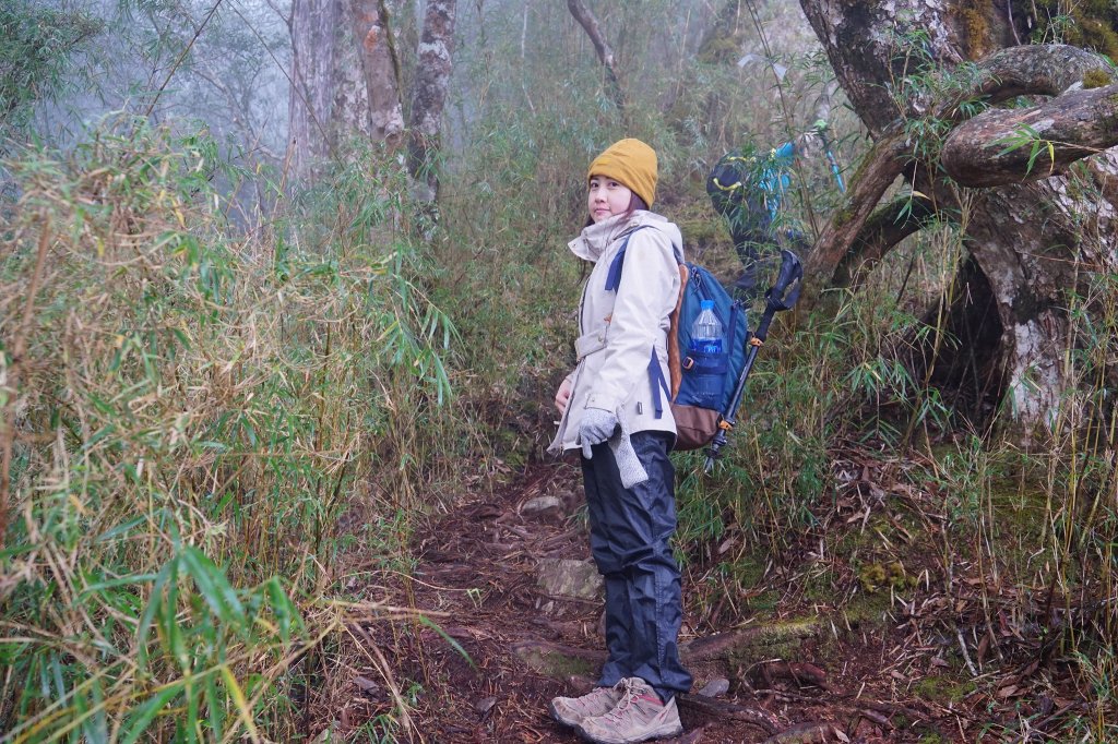 百岳單攻 | 霧淞西巒_1234152