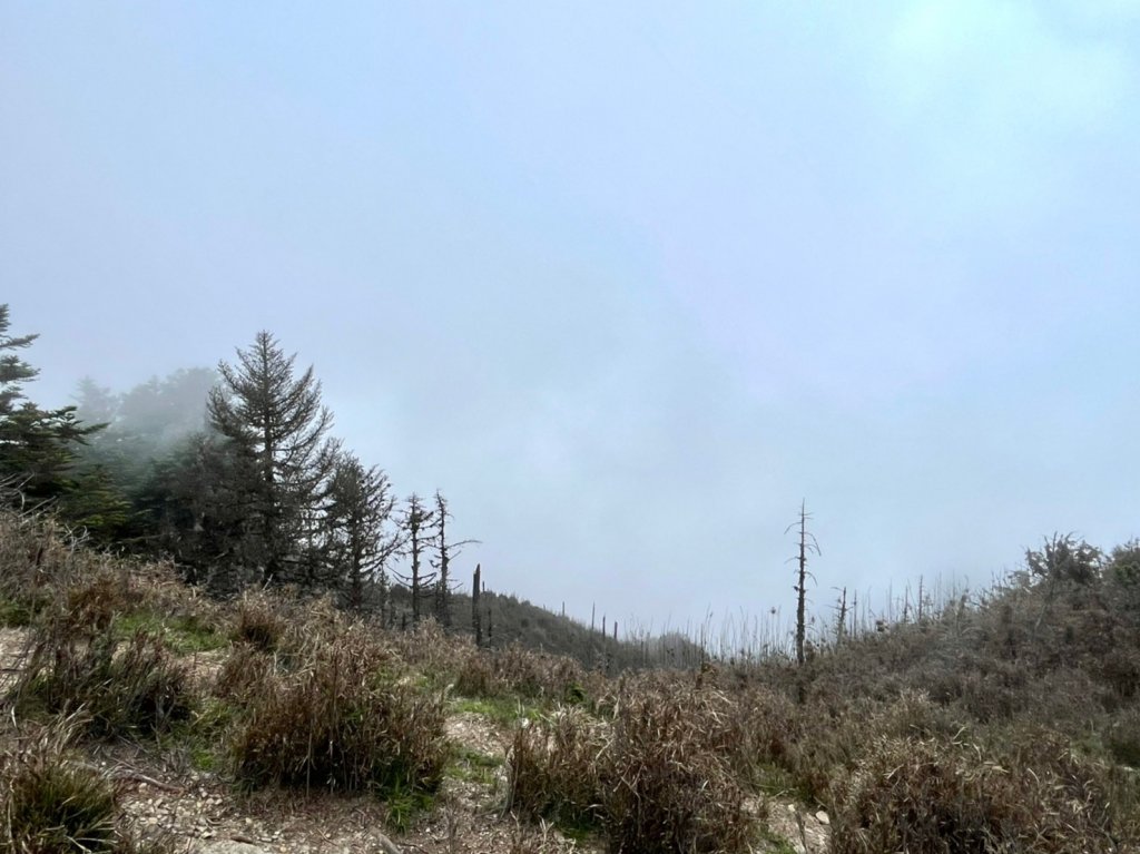 郡大山#百岳NO:58(快樂腳)_2223756
