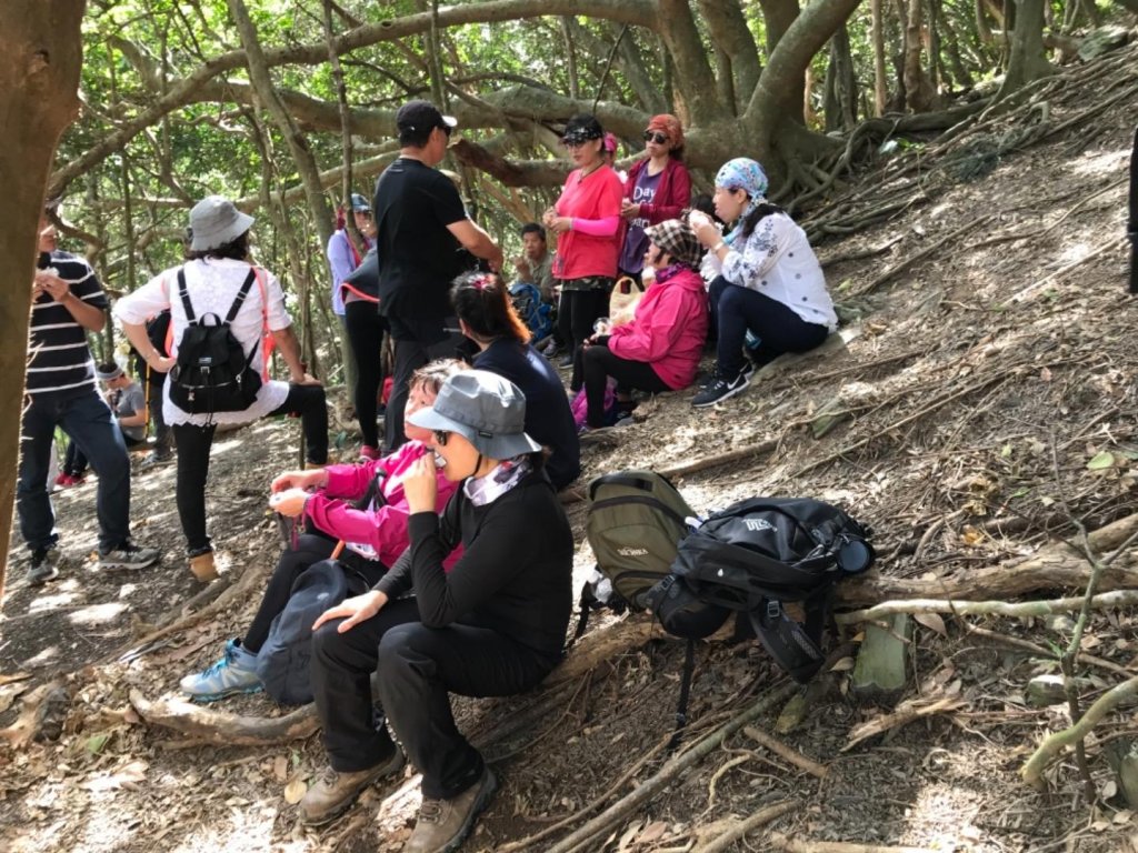 阿塱壹 古道行_463130