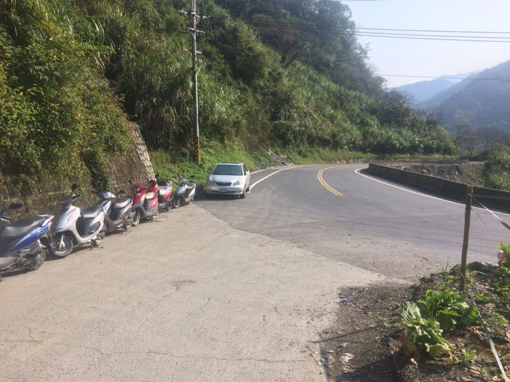 米羅山之木_292695