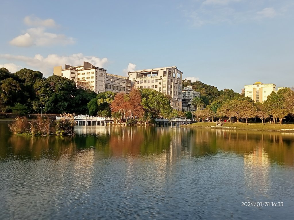 內湖大港墘公園、宏匯瑞光廣場、碧湖公園、象園咖啡內湖店、文德一號綠地、瑞陽公園封面圖