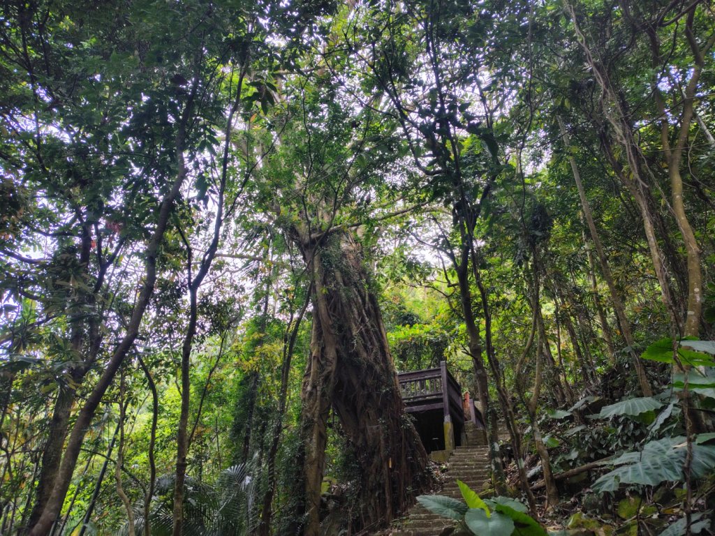 安靖古道_2753530