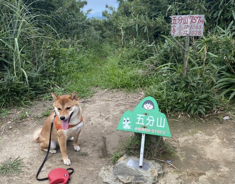 #10五分山封面圖