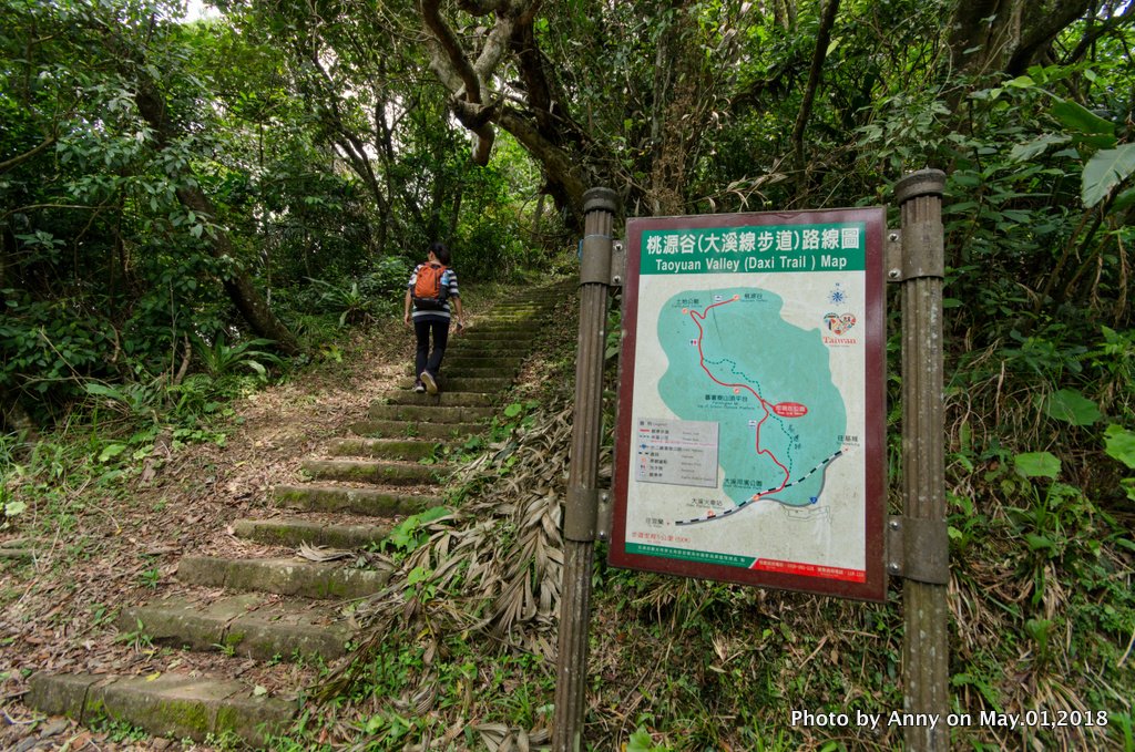 桃源谷步道（大溪線－石觀音線）_451165