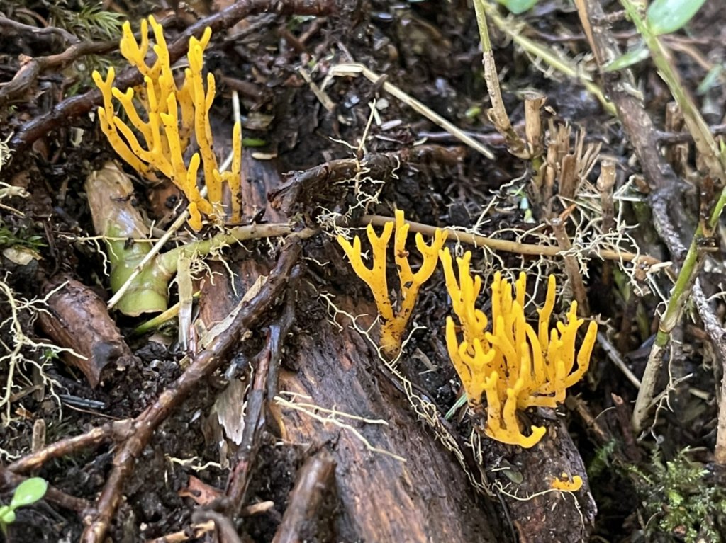 20220817塔關山_1815340