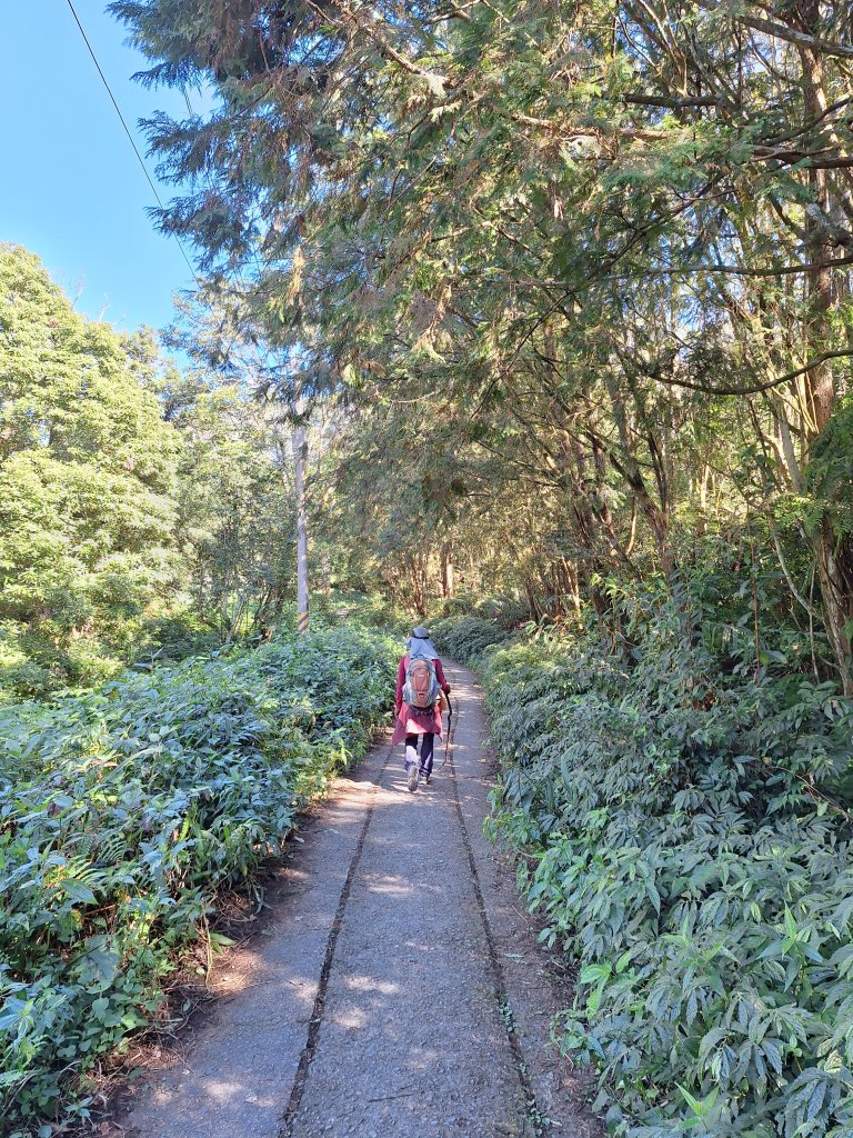 日湯真山20260104_2978566