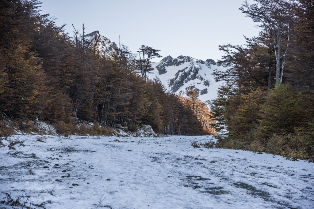 阿根廷火地島馬蒂爾冰河_53883