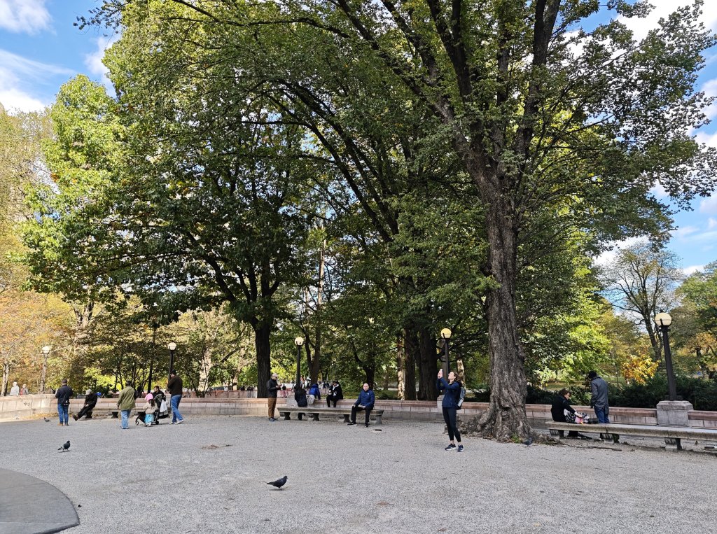 [紐約馬之行-10] 2025_1101 紐約中央公園_2944990