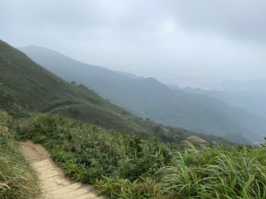 步道巡訪員│聖母登山步道一月巡訪封面圖