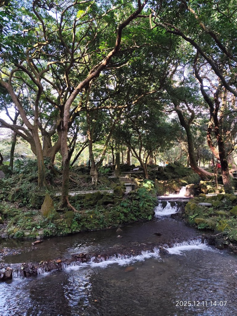 【臺北大縱走 2】【第二回合全程完成證書】鞍部→大屯山步道→大屯山主峰→大屯坪步道→二子坪步道_2960422