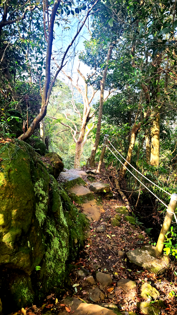 2025-0104 造鎮_五城山_天上山_三粒半_火焰山_慈惠堂_土城大潤發_2682171