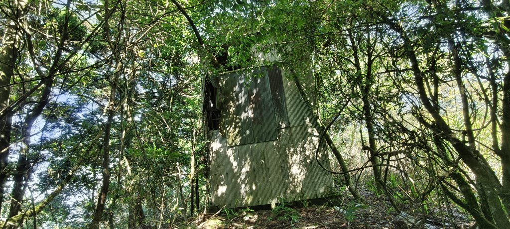 2025/06/15_盡尾山步道_2812735