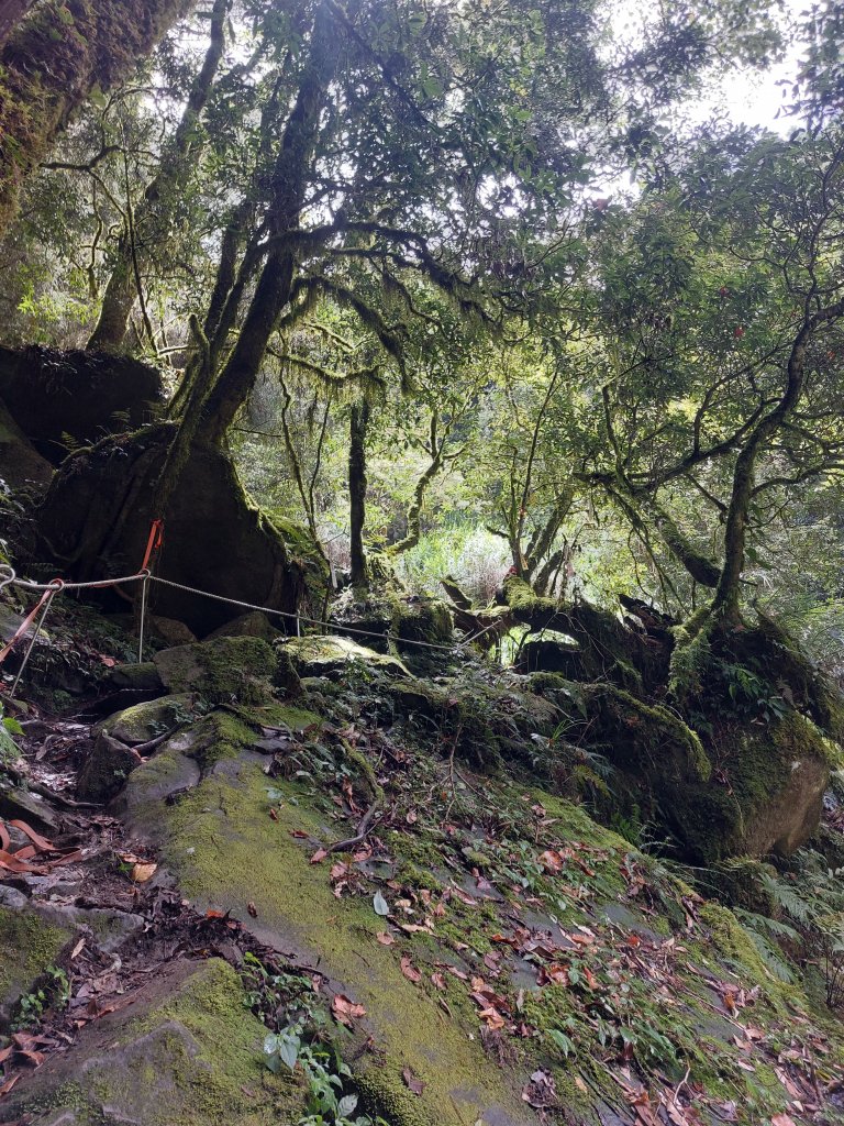 神阿縱走2022/7/31_1786205