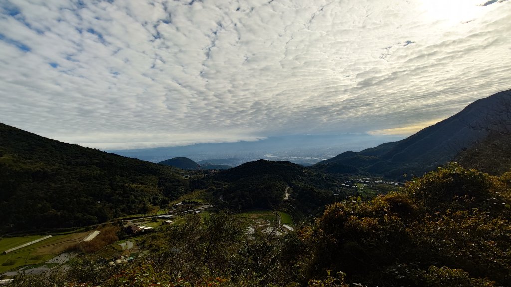 20260125 陽明山前後山健行(無極天元宮~山仔頂步道.向天池.向天山.面天山.二子坪)_2998078